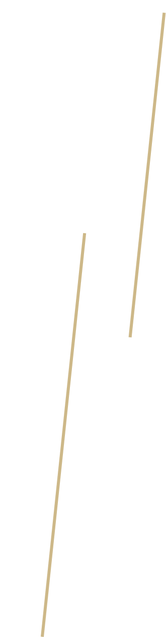 様々な表情を見せるロング丈のニットベスト