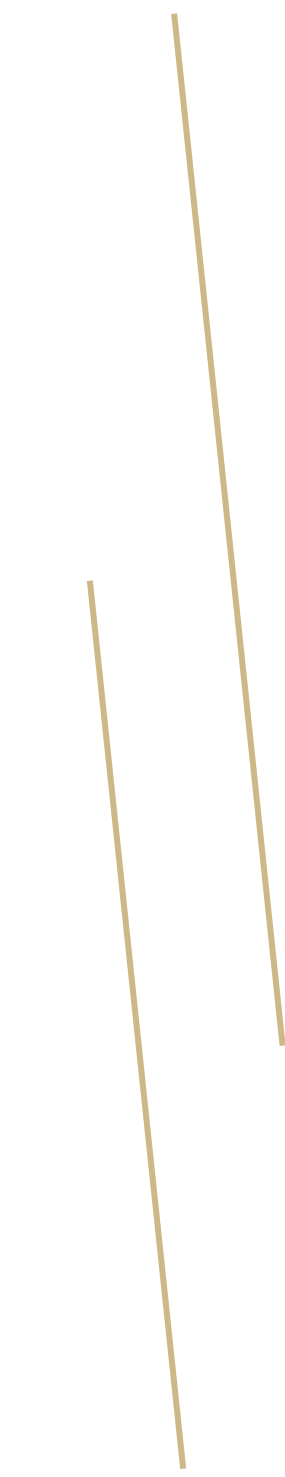 丸みを帯びた優しいフォルムのコクーンシルエットが魅力