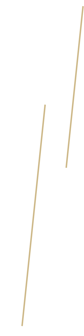 透け感のある素材が空気をはらんだ軽い着心地に